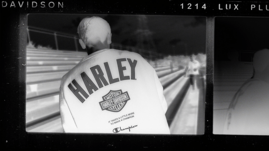 Harley-Davidson x Champion, Harley-Davidson