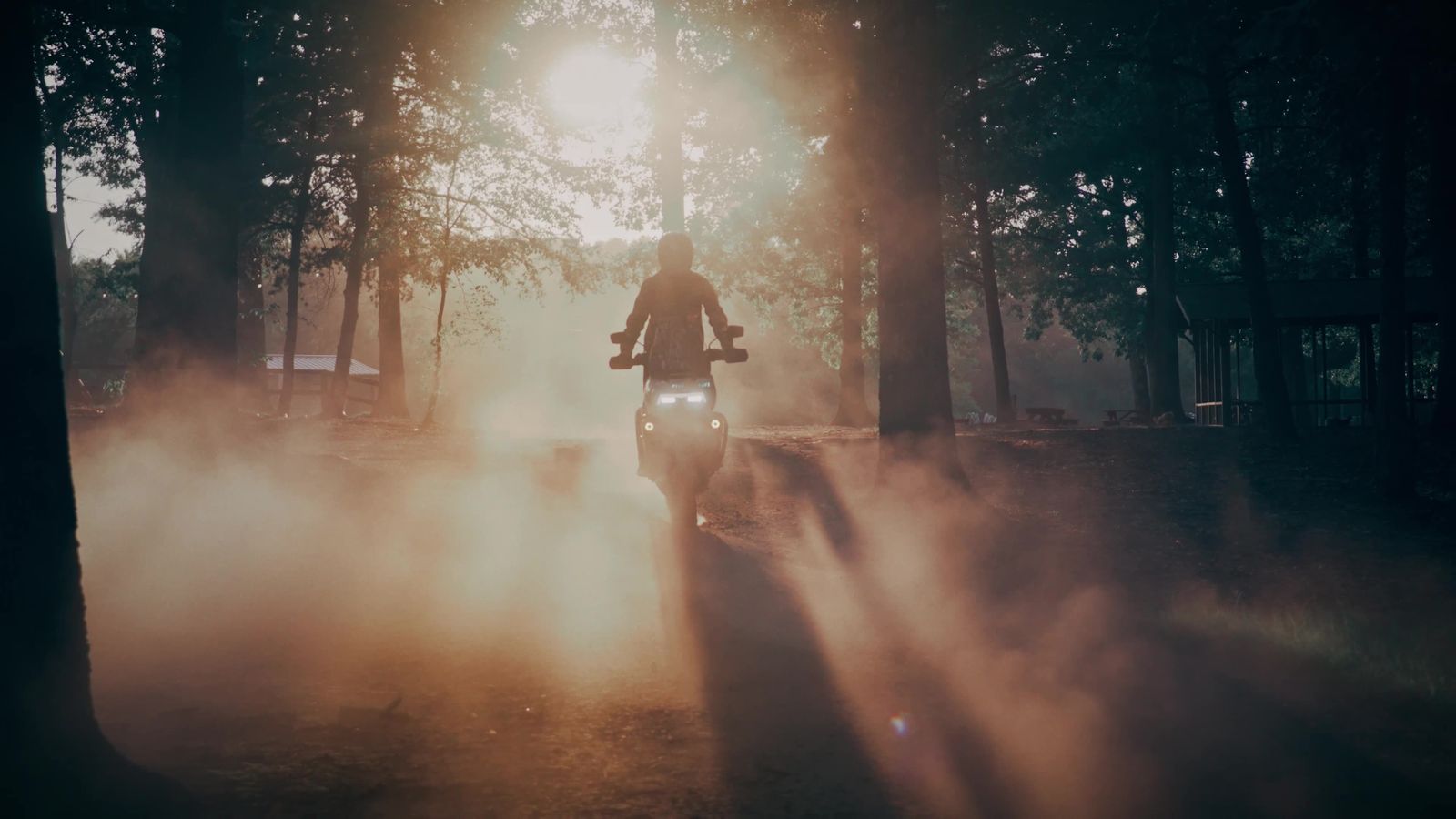 Get Lost, Harley-Davidson x Realtree