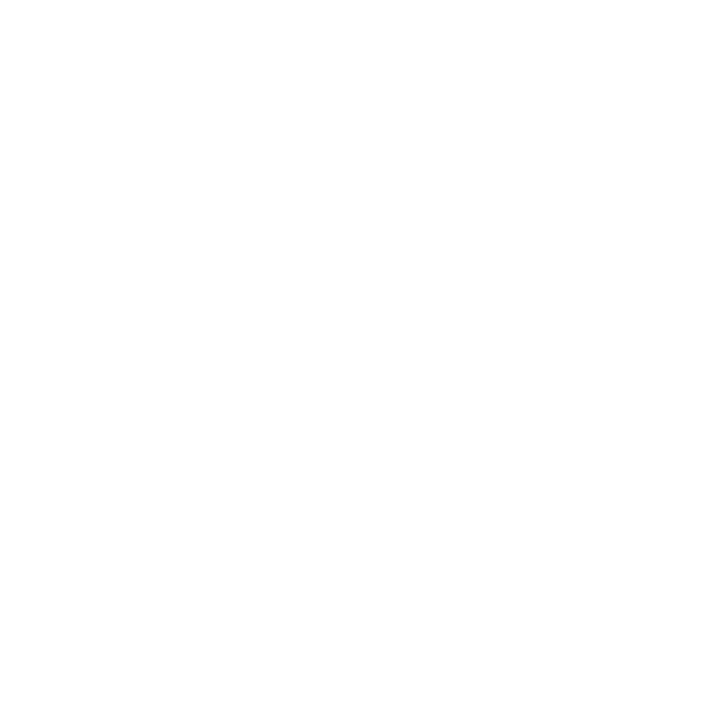 Charlotte Hornets